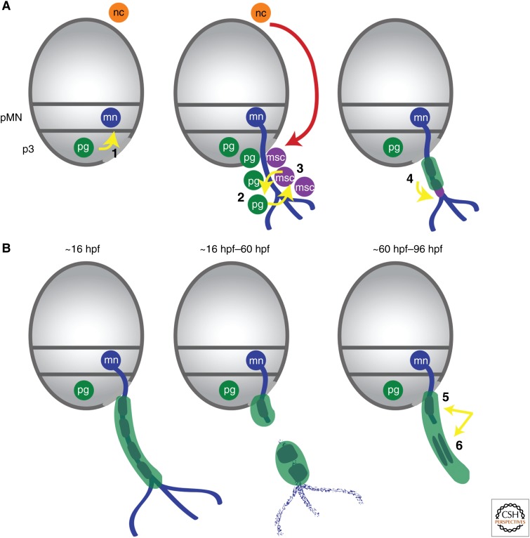 Figure 5.