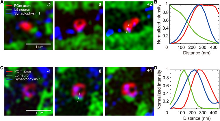 FIGURE 4