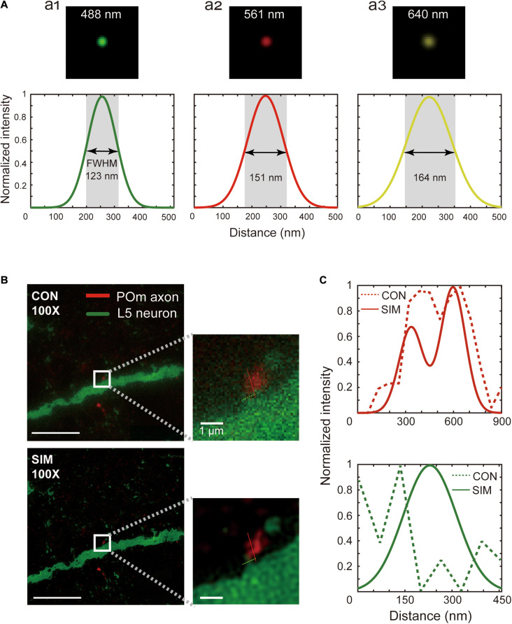 FIGURE 3