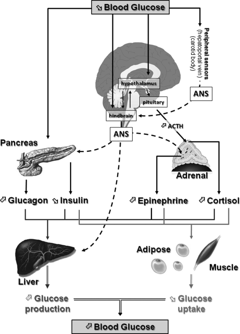 FIG. 1.