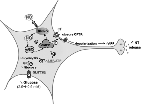 FIG. 4.