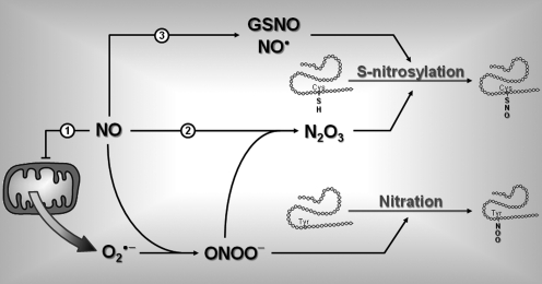 FIG. 7.