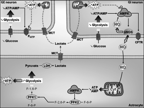 FIG. 6.