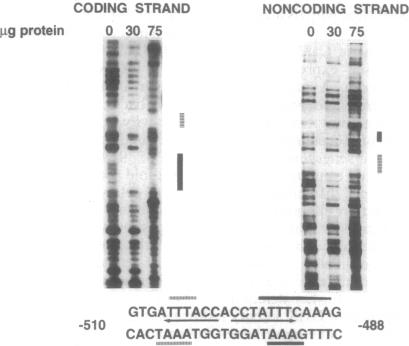 graphic file with name pnas01141-0209-a.jpg