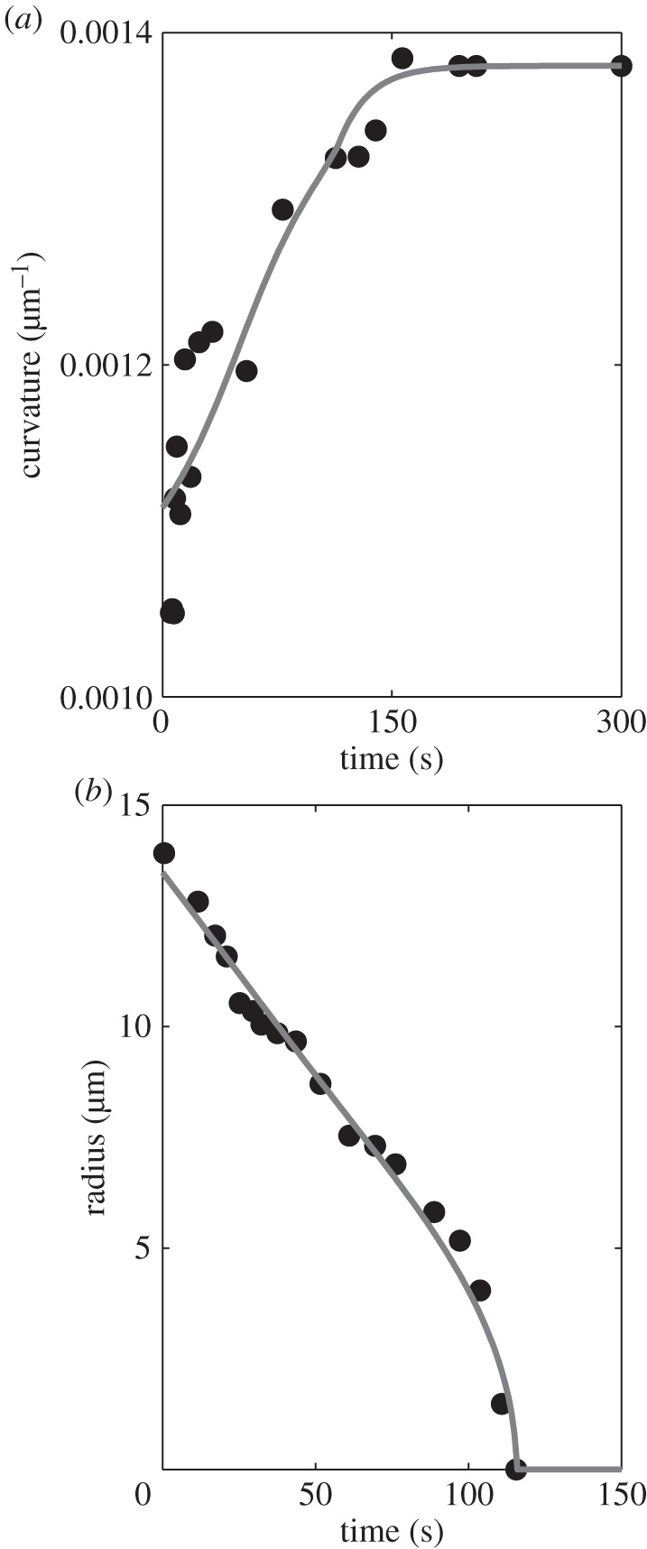 Figure 12.