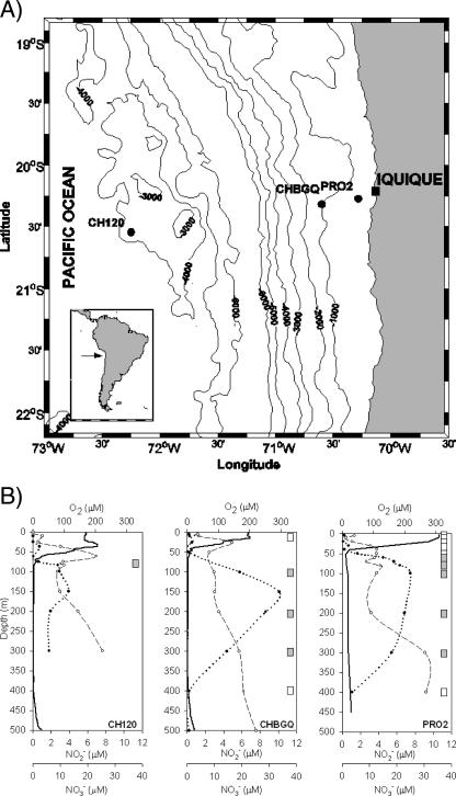 FIG. 1.