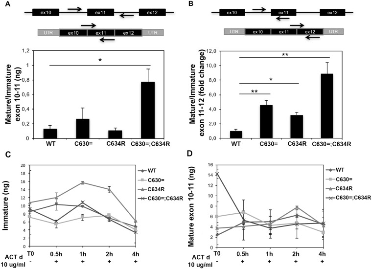 Fig 6