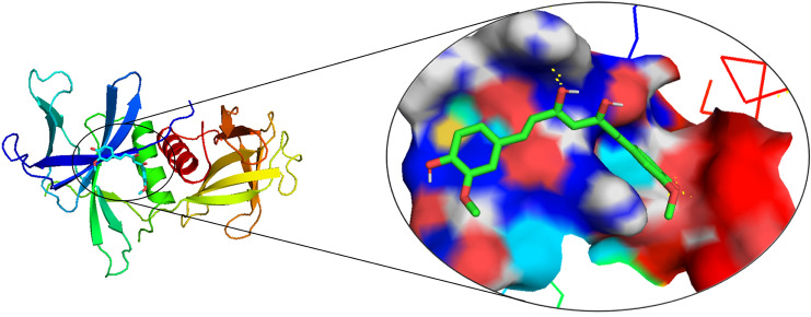 Fig. 3