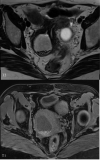 Fig. 2 –