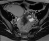 Fig. 3 –
