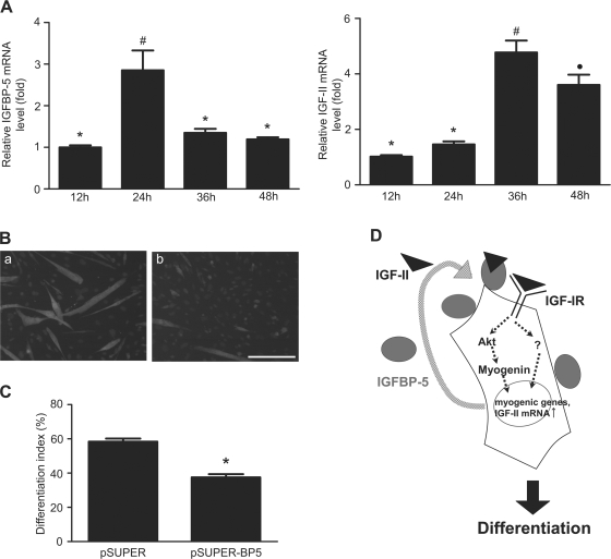 Figure 10.