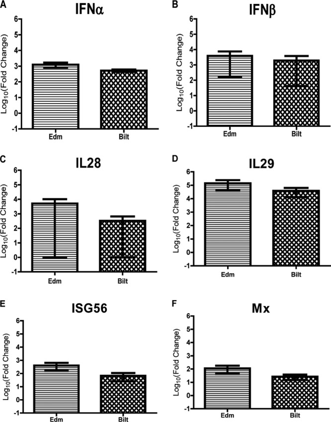 Fig 11