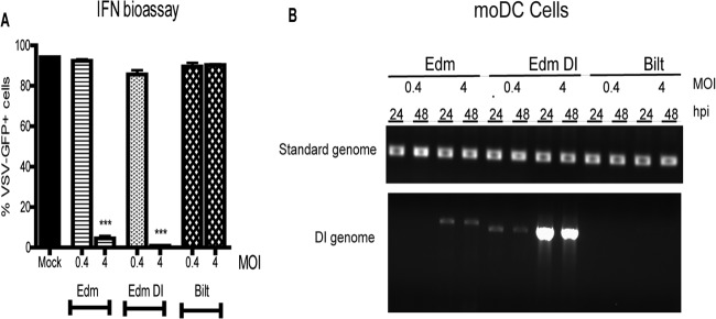 Fig 5