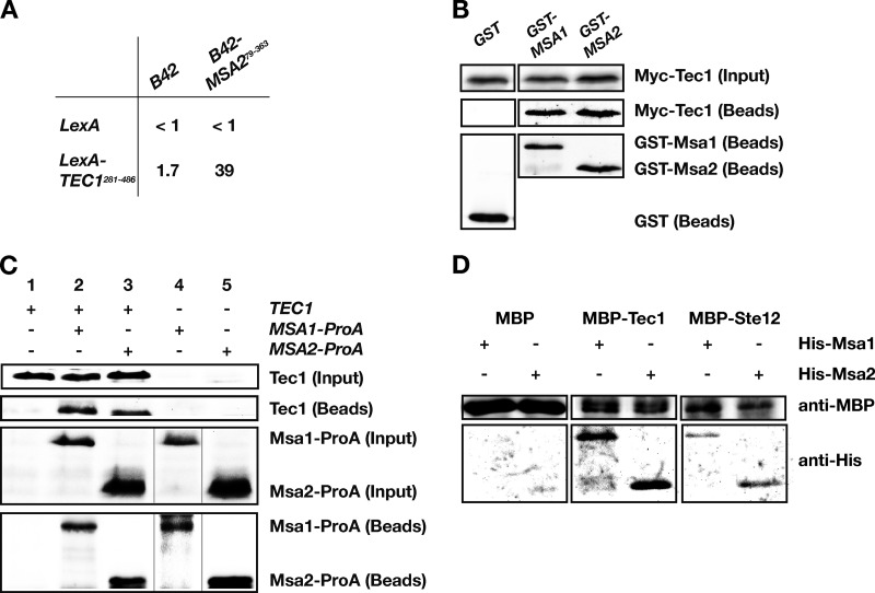 FIG 1