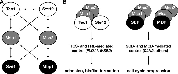 FIG 7