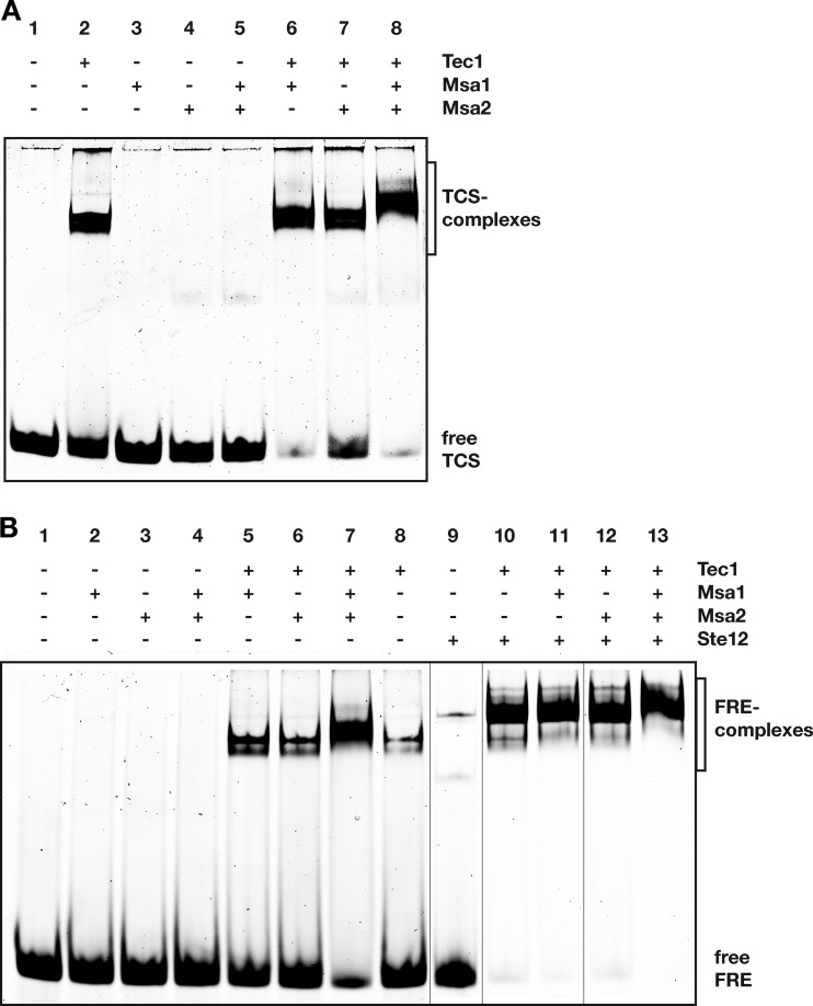 FIG 2