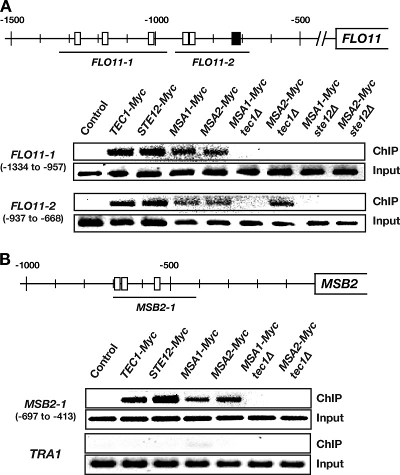 FIG 6