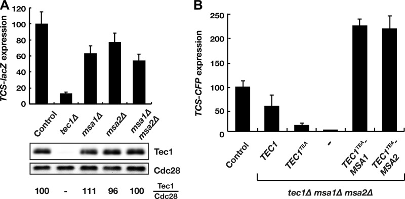 FIG 3