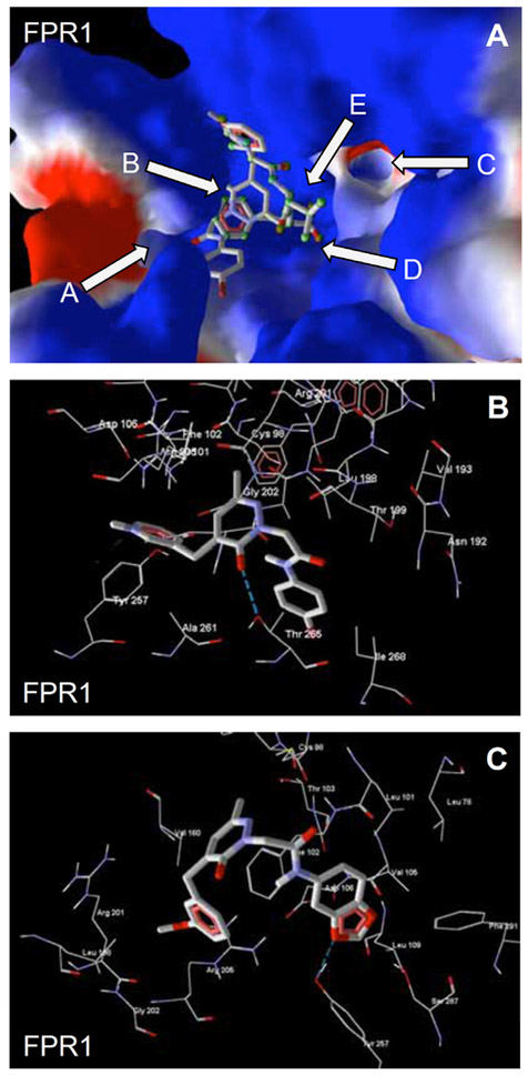 Fig. (3).