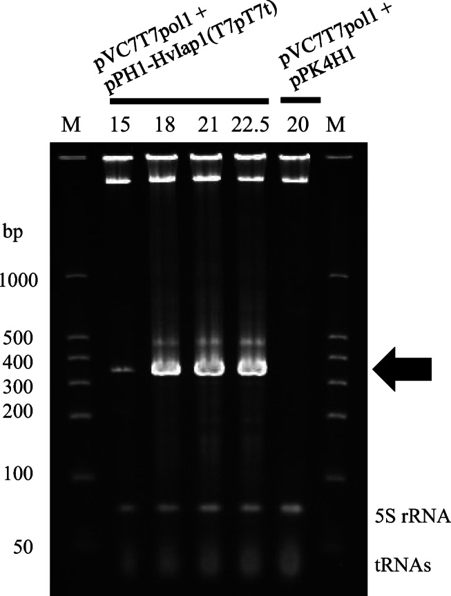 Fig. 5