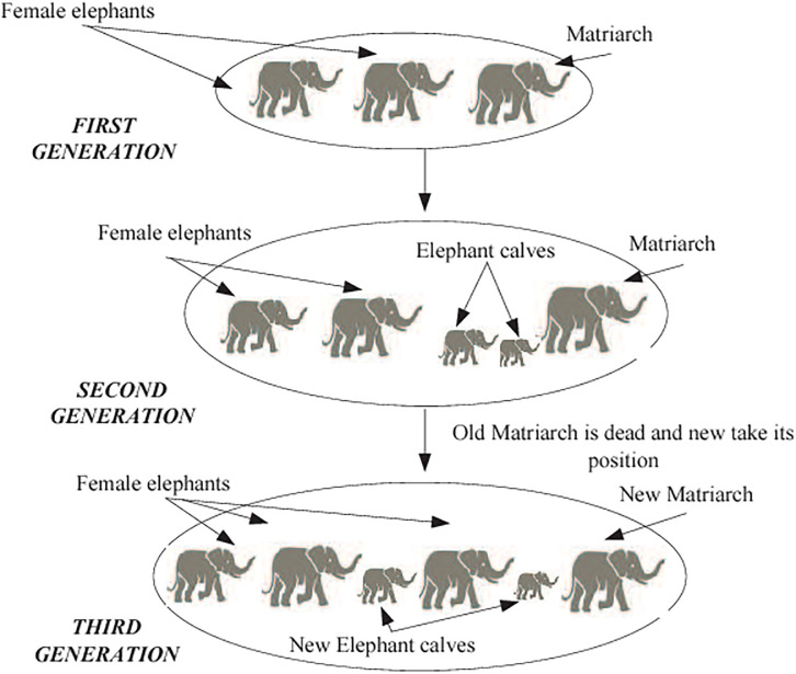 Fig 6