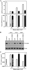 Figure 9.