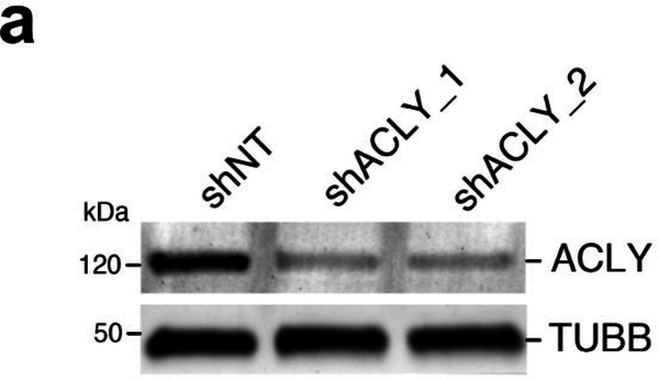 Extended Data Fig. 3