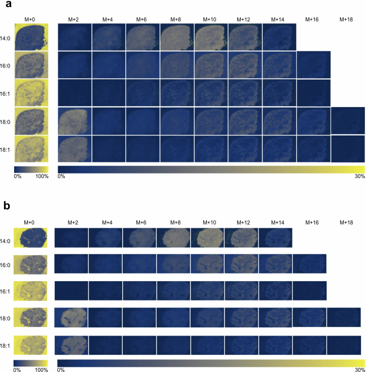 Extended Data Fig. 4