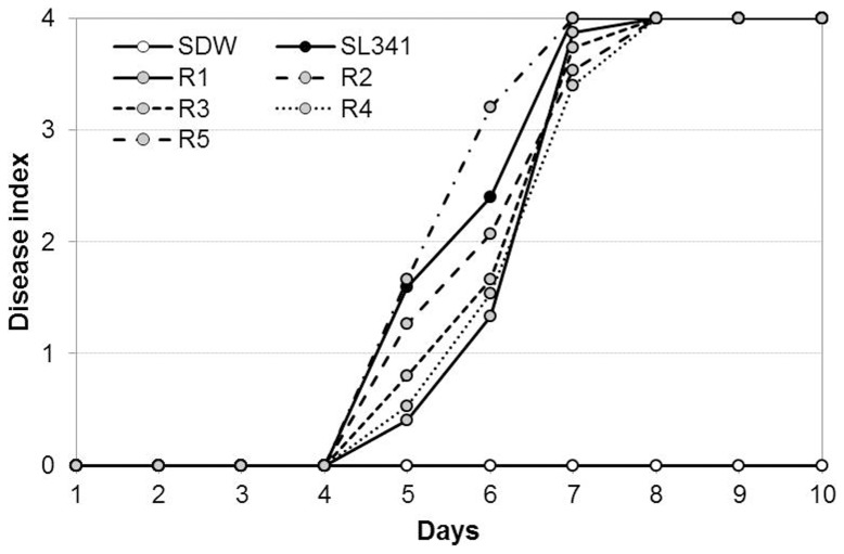 Figure 7