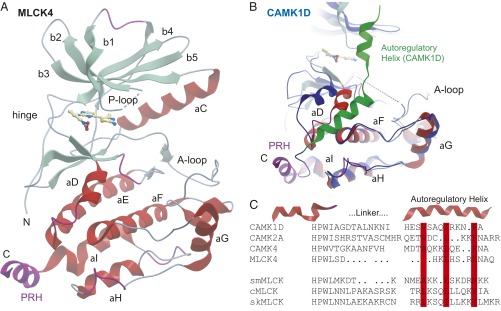 Fig. 2.