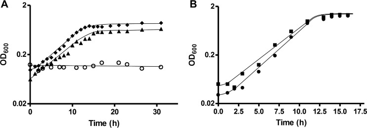 FIG 3