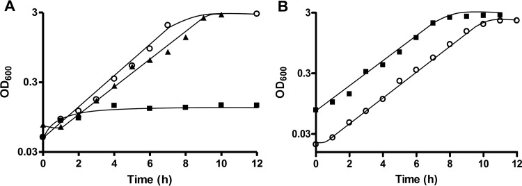 FIG 5