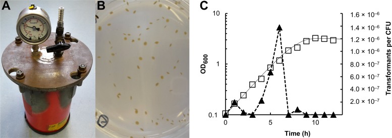 FIG 1