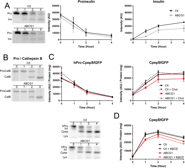 FIGURE 4: