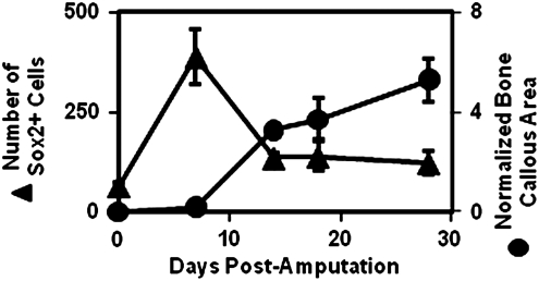 FIG. 9.