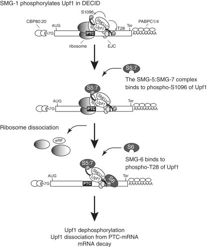 Figure 9.