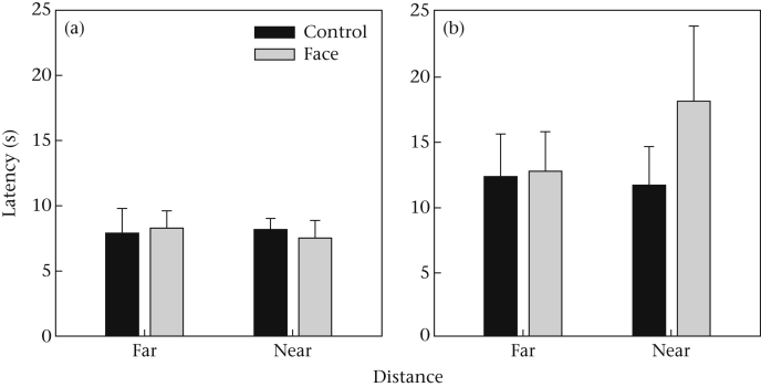 Figure 5