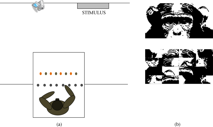 Figure 1