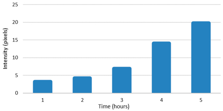 Figure 6