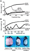 Fig 2.