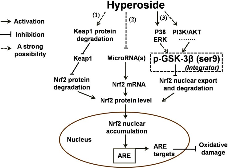 Fig 9