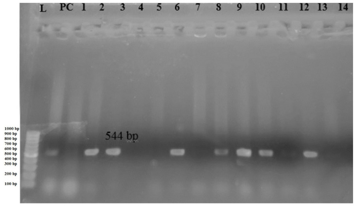 Figure 2