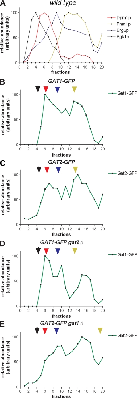 FIG. 3.