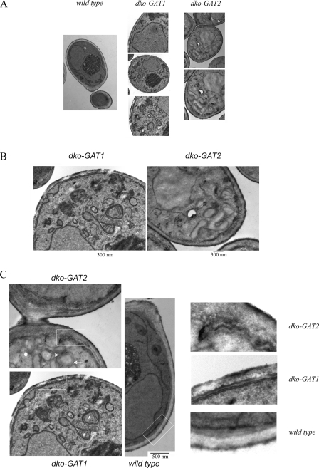 FIG. 9.