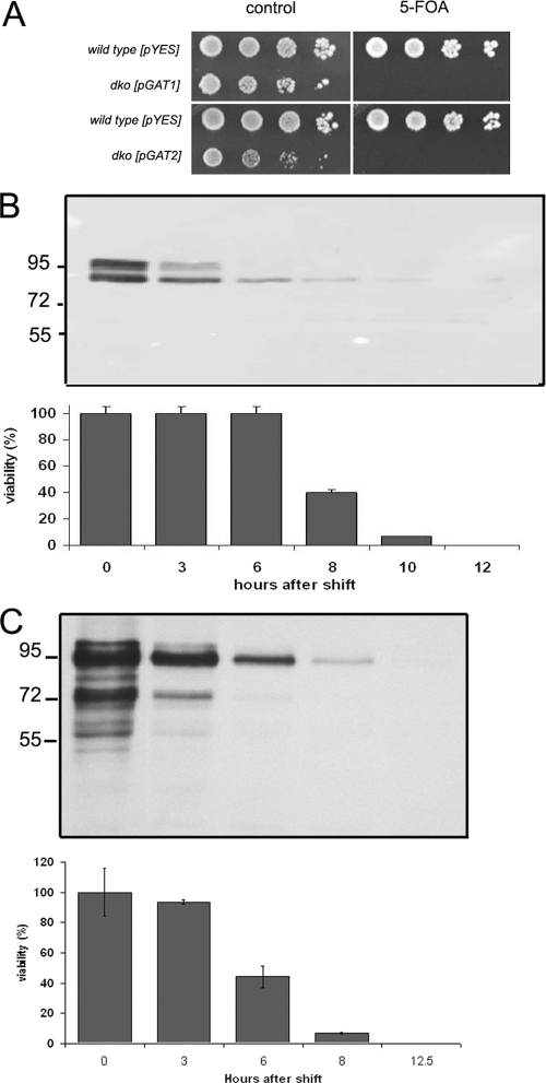 FIG. 6.