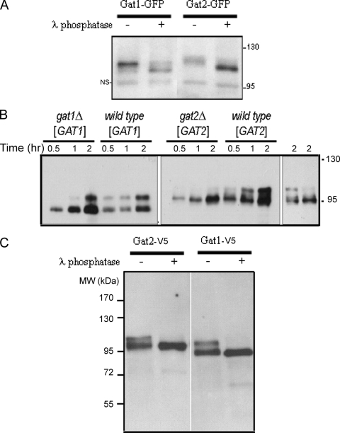 FIG. 5.