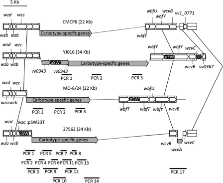 Fig. 3.