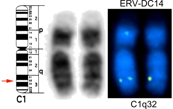 FIG 2