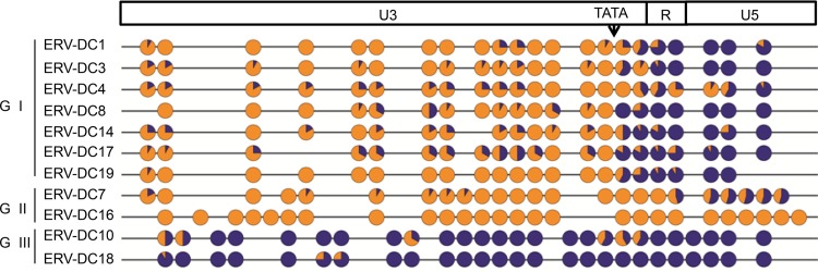 FIG 4