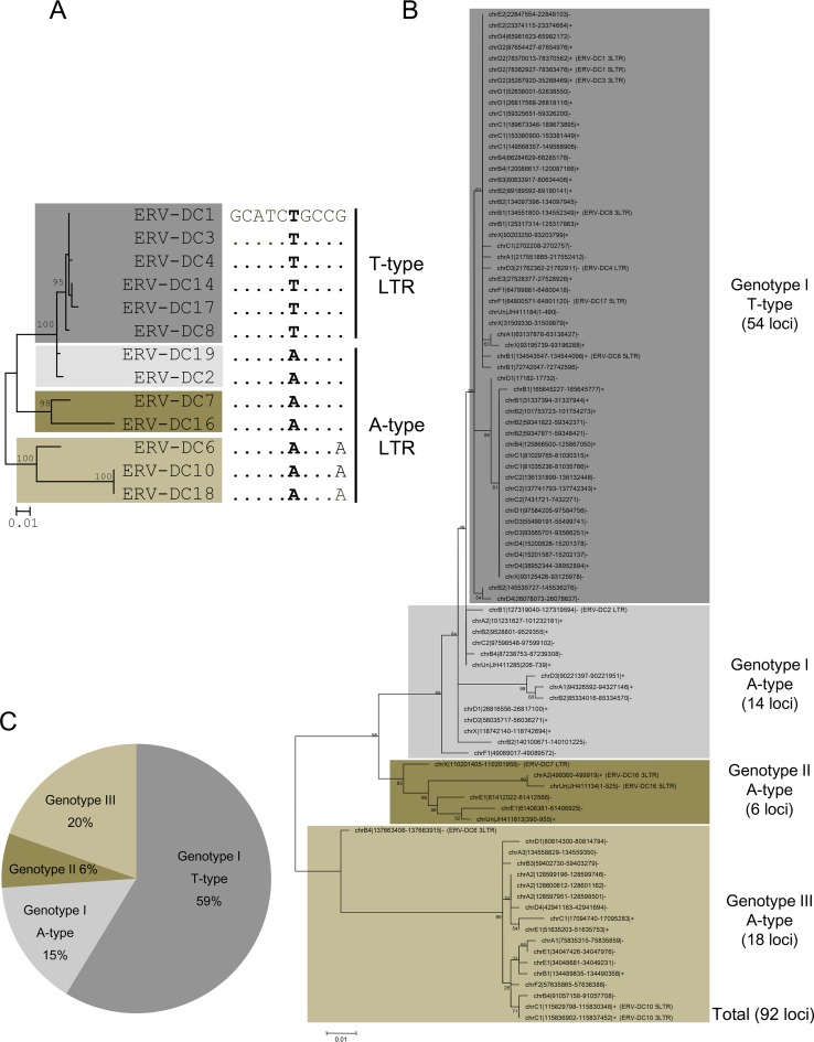 FIG 10